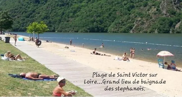 Villa Pres De St Etienne Et Du Parc Naturel Regional Du Pilat Saint-Just-Malmont